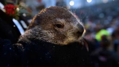 Groundhog Day 2022: Punxsutawney Phil sees shadow, predicts 6 more weeks of winter - fox29.com - county Day - state Pennsylvania