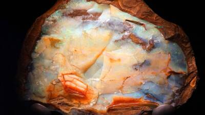 Large opal sells for nearly $144K at Alaska auction - fox29.com - Australia - state Alaska