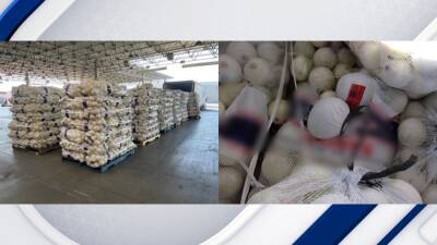 Meth disguised as onions seized at San Diego border crossing, CBP officials say - fox29.com - state California - county San Diego - state Indiana - city Phoenix - Mexico