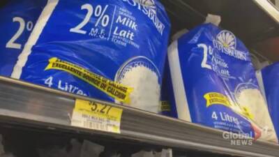Anne Gaviola - What’s behind the hike in dairy prices across Canada? - globalnews.ca - Canada