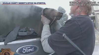 VIDEO: Colorado deputy rescues dog from burning SUV - fox29.com - state Colorado - county Douglas