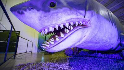 What did the megalodon look like? Scientists say we still don’t know - fox29.com - state California - county Island - state South Carolina - state Colorado - county Riverside