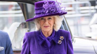 Justin Trudeau - Elizabeth Ii Queenelizabeth (Ii) - Windsor Castle - Charles Princecharles - Kate Middleton - Camilla, Duchess of Cornwall, Cancels Appearance as She Continues to Recover From COVID - etonline.com - Ireland - county Centre - county Prince William