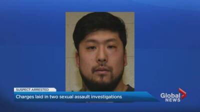 Erica Vella - Man charged in connect to two sexual assault investigations - globalnews.ca