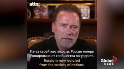 Arnold Schwarzenegger - Vladimir Putin - “This is an illegal war:” Arnold Schwarzenegger sends emotional message to Russians - globalnews.ca - Austria - Russia - Ukraine