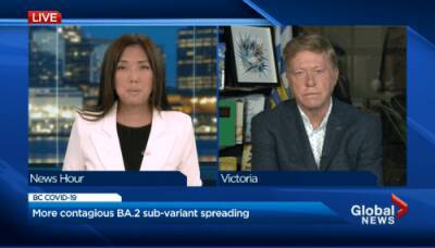 Keith Baldrey - Three key risks B.C. still faces in fight against COVID-19 - globalnews.ca