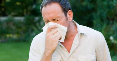 Expert warns of 'difficulty' in telling difference between Covid and hay fever - dailyrecord.co.uk - Britain - Scotland