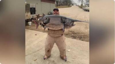 Mother Nature helps man snag 140-pound record-monster in Missouri lake - fox29.com - state Illinois - state Missouri - county Ozark