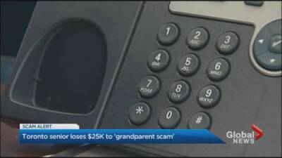 Toronto senior loses $25K in ‘grandparent scam’ - globalnews.ca