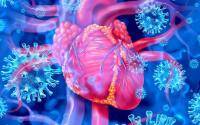Heart problems much more likely with COVID infection than vaccine - cidrap.umn.edu - Usa