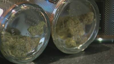Could NJ recreational marijuana sales affect medical patients? - fox29.com - county Garden - state New Jersey