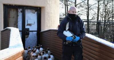 Edinburgh's 100-strong penguin crew 'doing well' after yearly health check-up - dailyrecord.co.uk - Scotland - Antarctica