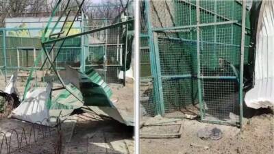 Ukraine zoo workers who stayed behind to care for animals found shot to death - fox29.com - Britain - Russia - Ukraine