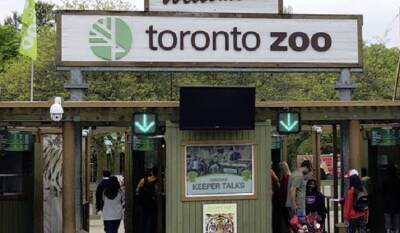 Toronto Zoo to vaccinate 120 animals against COVID-19 - globalnews.ca