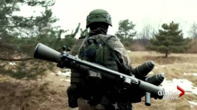 Mercedes Stephenson - Ukraine formally asks Canada for more weapons - globalnews.ca - Canada - Ukraine
