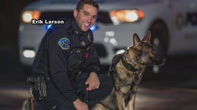 Hatboro K9 officer dies after severe reaction to bee sting - fox29.com - county Montgomery - city Doylestown
