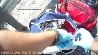Williams - VIDEO: Deputies search DSU lacrosse team's bags amid racial profiling claims - fox29.com - Usa - state Delaware - Georgia - county Liberty