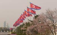Kim Jong Un - North Korea reports first COVID deaths, explosive outbreak spread - cidrap.umn.edu - China - South Korea - Usa - North Korea - city Pyongyang
