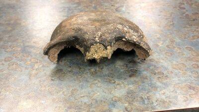 Human skull dating back nearly 8,000 years found in Minnesota River - fox29.com - Usa - state Minnesota - city Minneapolis