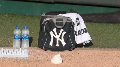 Yankees cut prospect after accusations of stealing equipment, stiffing fans surface: reports - fox29.com - New York - city New York - state Kentucky - city Ottawa - county Valley - city Tampa - county Hudson - city Sanford