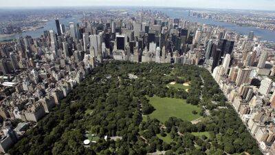 Study finds greener cities could benefit human health, save thousands of lives - fox29.com - city New York - city Boston - county Frontier