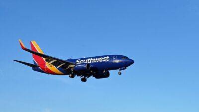 Airlines - Unruly Southwest passenger sentenced to prison for punching flight attendant - fox29.com - county San Diego