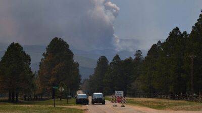 Largest fire in New Mexico history caused by planned burns, federal review finds - fox29.com - city Las Vegas - Mexico - county Forest - state New Mexico - Santa Fe, state New Mexico