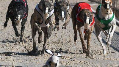 Greyhound racing in US may soon be at an end following concerns over animal treatment - fox29.com - Usa - state Florida - county Park - state Iowa