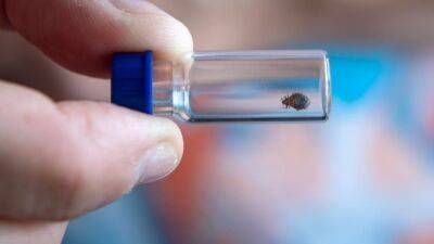 Delaware lawmakers eye tenant protections from bed bug infestations - fox29.com - state Delaware