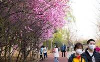 China's hot spots start easing COVID restrictions - cidrap.umn.edu - China - city Beijing - Usa - city Shanghai
