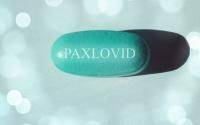 Data show low level of COVID rebound with Paxlovid - cidrap.umn.edu - Usa - state Minnesota