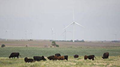 Daniel Acker - Excessive heat blamed for thousands of Kansas cattle deaths - fox29.com - state Texas - state Kansas - state Nebraska - county Hays
