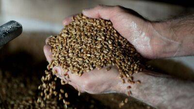 Wheat and barley shortage: How Russia-Ukraine war triggered a global food crisis - fox29.com - state Massachusets - Russia - Ukraine