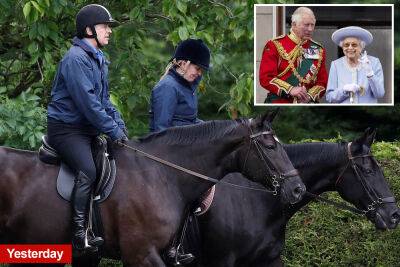 Royal Family - Elizabeth Ii II (Ii) - prince Andrew - Andrew Princeandrew - Royal fans skeptical of Prince Andrew’s ‘convenient’ COVID: ‘I call bulls–t’ - nypost.com - county Windsor