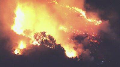 Coyote Fire: Wildfire contained after burning part of Hollywood Hills - fox29.com - Los Angeles - city Los Angeles - county Hill - city Hollywood, county Hill