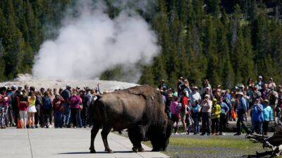 Yellowstone reopens for the first time since June floods caused evacuation of thousands - fox29.com - India - city Las Vegas - Canada - state Montana - state Wyoming - county Canyon - city Vancouver, Canada
