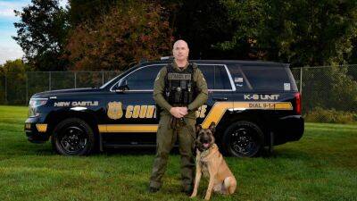Very good boys: Hero police dogs retire after serving, protecting Delaware community - fox29.com - state Delaware - county New Castle - Belgium