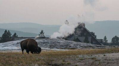 Bison gores man near Old Faithful at Yellowstone National Park, officials say - fox29.com - Usa - state Ohio - county Park - state Wyoming - state Colorado - county Yellowstone - state Idaho