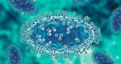 Mike Ryan - Theresa Tam - Monkeypox, severe hepatitis raise concerns of virus outbreaks post-COVID - globalnews.ca - Canada