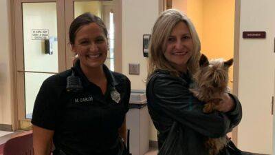 Stolen dog reunited with family 11 years later thanks to animal control officer - fox29.com - Washington - state Massachusets - city Boston, state Massachusets