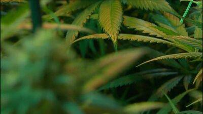 John Carney - Attempt to override veto of marijuana legalization fails in Delaware - fox29.com - state Delaware
