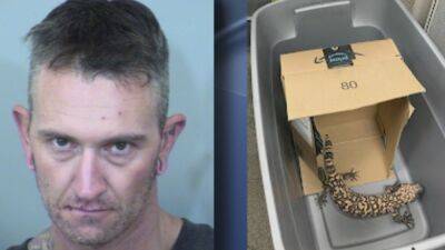 Arizona man accused of DUI had Gila monster in his car: police - fox29.com - state California - state Nevada - state Arizona - county Mesa