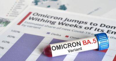 Brits warned as new Omicron BA.5 variant means you can catch COVID again within 4 weeks - dailystar.co.uk - Britain - Australia