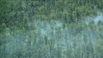 Crews make 'substantial progress' battling another wildfire at Wharton State Forest in New Jersey - fox29.com - Washington - state New Jersey - county Forest - county Wharton