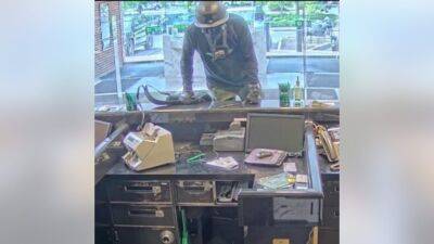 Police: Man in gas mask fails to jump counter twice during attempted TD Bank robbery - fox29.com