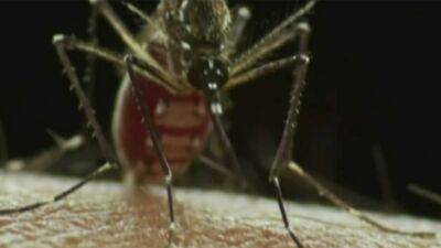 Why mosquito season is getting worse - fox29.com - New York - Usa - state Indiana