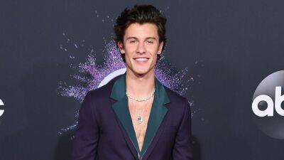 Shawn Mendes - Shawn Mendes Cancels Remainder of Tour: 'I Have to Put My Health as My First Priority' - etonline.com - Britain