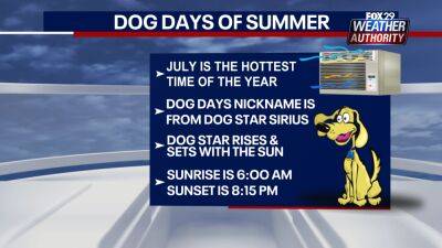 'Dog Days of Summer': What are they, and what do they mean? - fox29.com