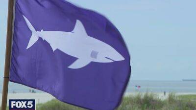 Lifeguard on Long Island bitten in chest, hand by shark during training exercise - fox29.com - New York - county Suffolk - county Long