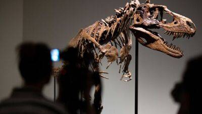 Sotheby's to auction off 76 million-year-old dinosaur skeleton in New York - fox29.com - New York - Usa - city New York - Canada - state Montana